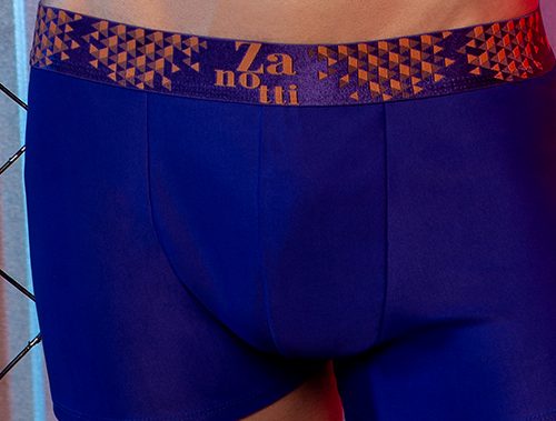 cueca