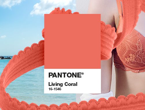 cor-do-ano-pantone