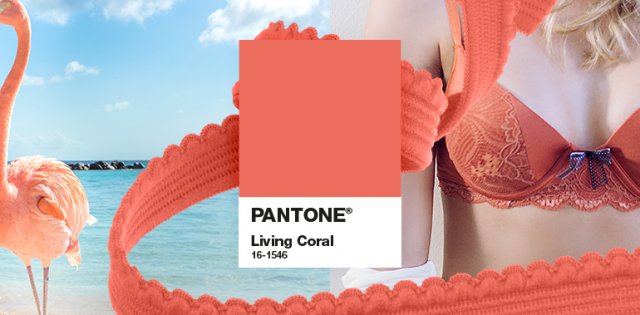 cor-do-ano-pantone