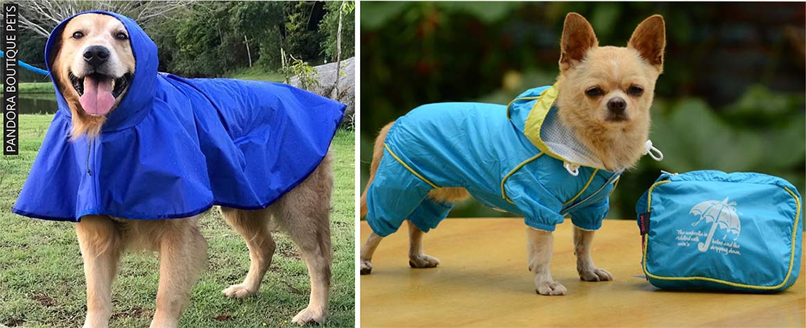 dois cachorros usando capa de chuva, peça ideal de moda pet