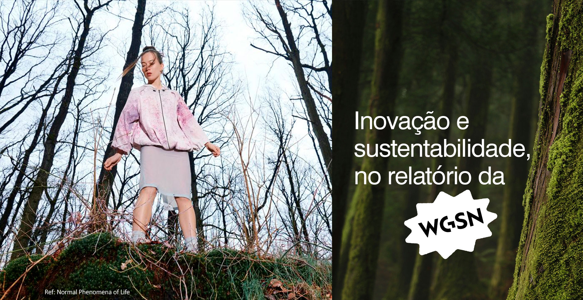 Inovação e sustentabilidade, no relatório da WGSN!